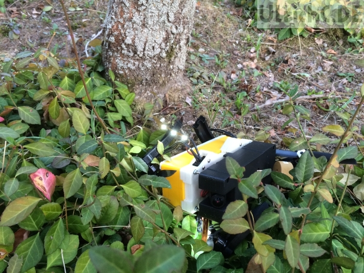 Quadrocopter Baumbesichtigung