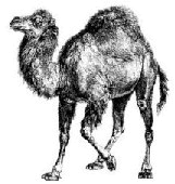 Websystem Webanwendungen